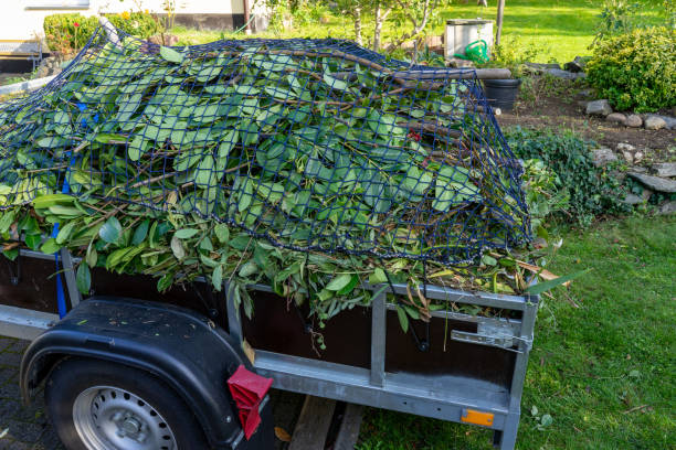 Shed Removal in Northwest Harborcreek, PA